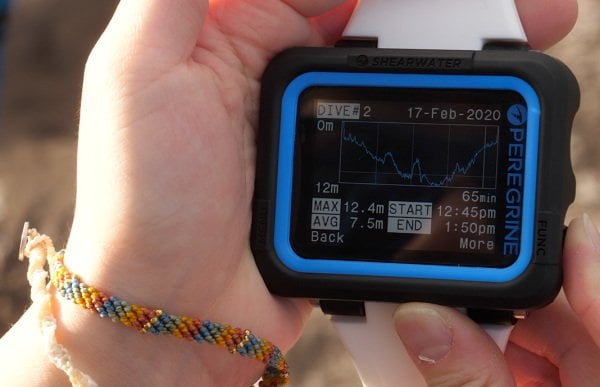 Peregrine Dalış Bilgisayarı